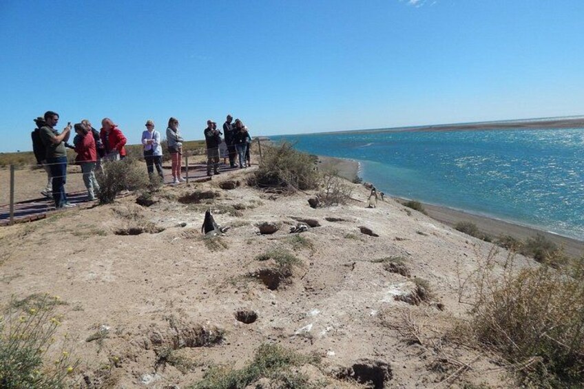Un grupo de personas contemplando un paisaje costero con una zona arenosa y vegetación escasa. 2
