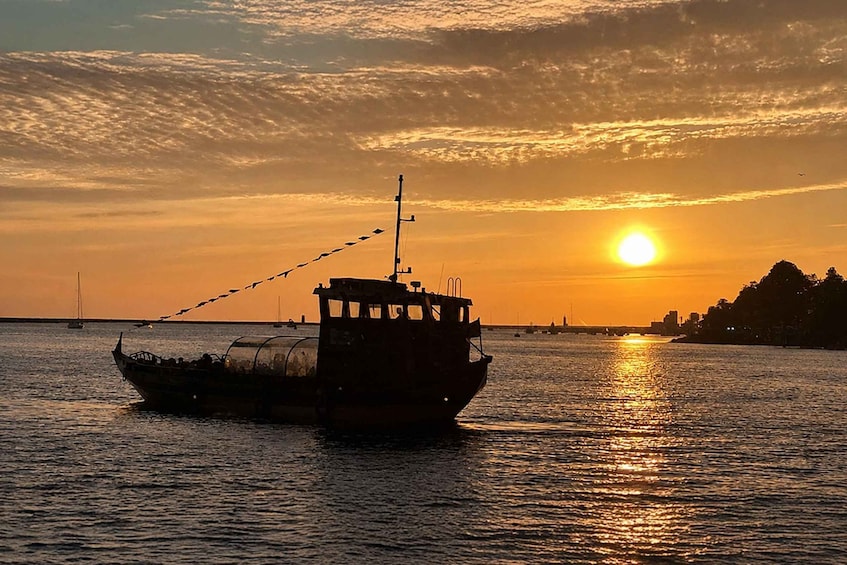 Picture 2 for Activity Porto: 6 Bridges Cruise & Sunset & World Discoveries Option 2
