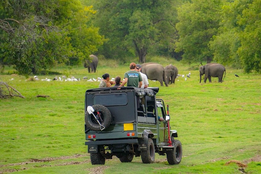 A green off-road vehicle with passengers observing elephants and birds in a grassy field. 1
