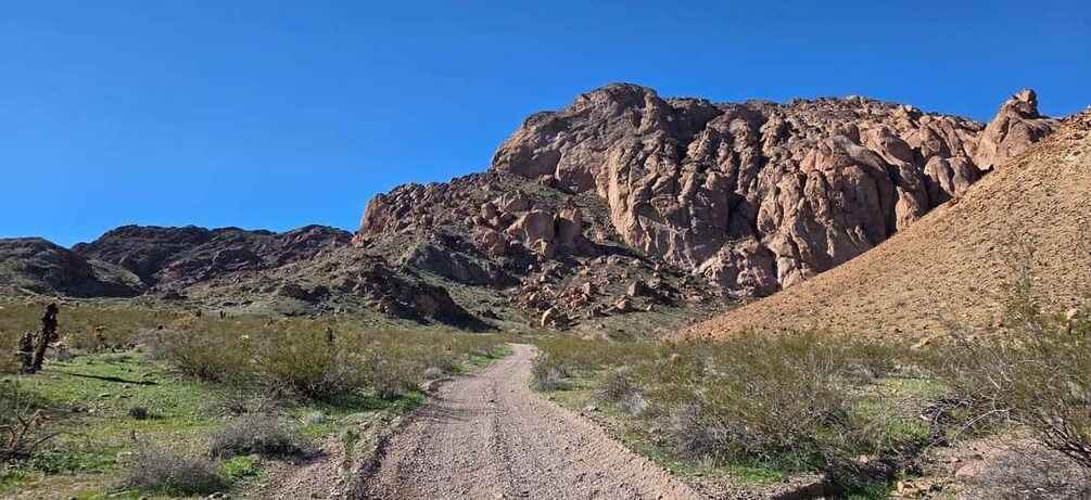Picture 21 for Activity Las Vegas: Colorado River Adrenaline RZR Tour 5