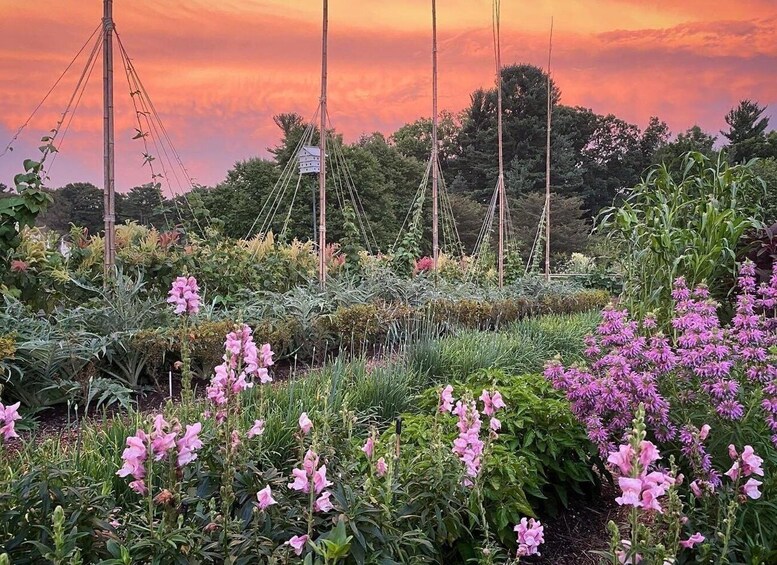 Picture 3 for Activity Kennet Square: Longwood Gardens Admission Ticket 2