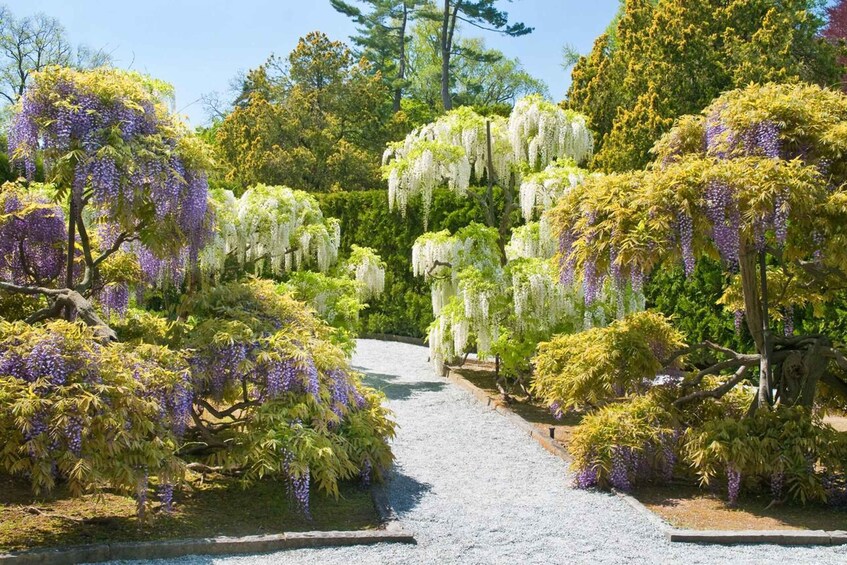 Picture 6 for Activity Kennet Square: Longwood Gardens Admission Ticket 5