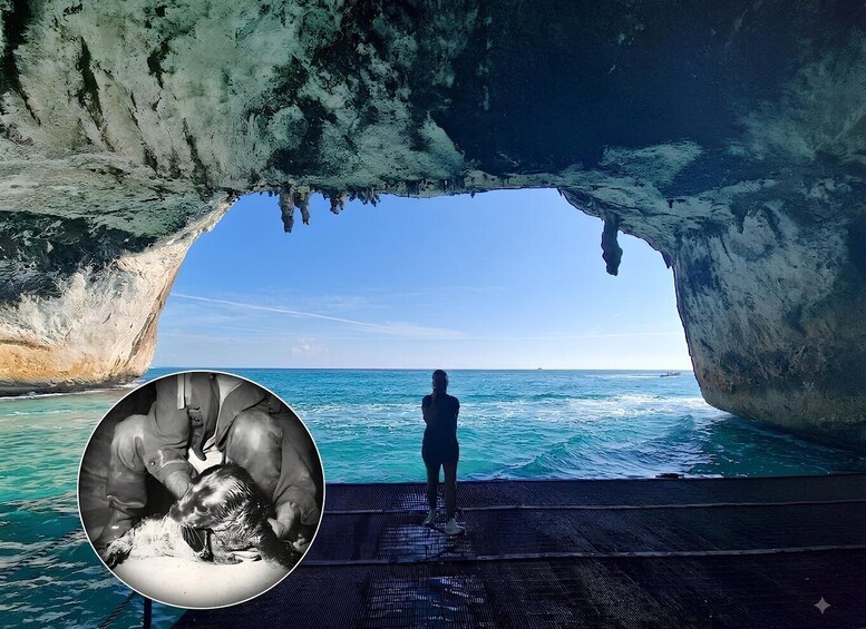 Grotta del Bue Marino and Cala Luna Boat Tour 1