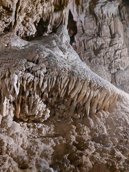 Picture 20 for Activity Grotta del Bue Marino and Cala Luna Boat Tour 5