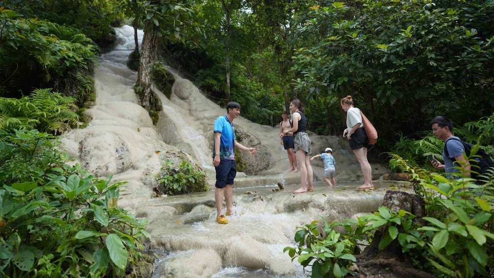 Picture 9 for Activity Sticky Waterfall, Land Angels,Wat BanDen Temple& Thai Buffet 2