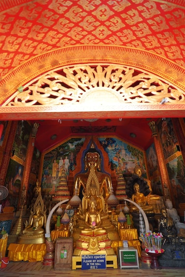 Picture 6 for Activity Golden Suthep-PaLad Secret Temple & Sticky Waterfall-Buffet 4