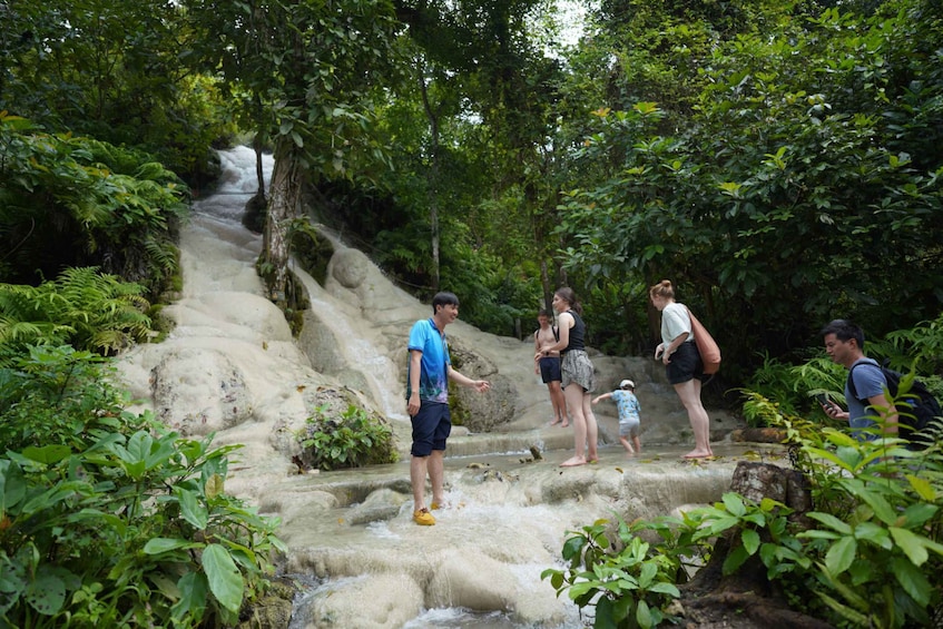 Picture 9 for Activity VIP Sticky Waterfall, Land Angels, Cafe Elephant& Wat BanDen 4