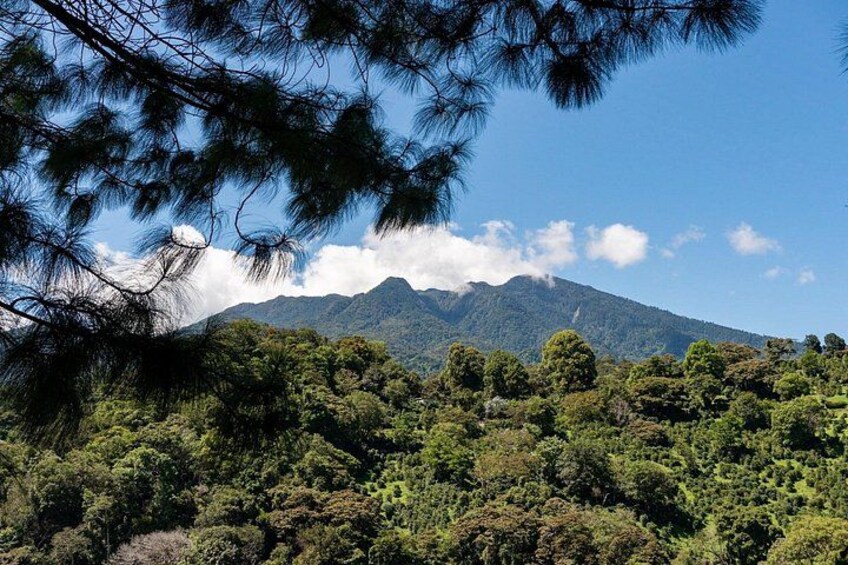 A mountain with a forested foreground and a clear sky. 3