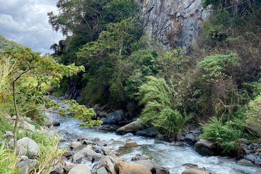 The Local Flavors of Boquete E-Bike Tour (4 hrs.) (2 Person Min.) 5