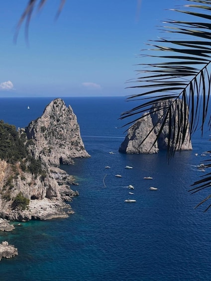 Picture 31 for Activity From Naples: Sorrento tour & Capri with fastboat included 2