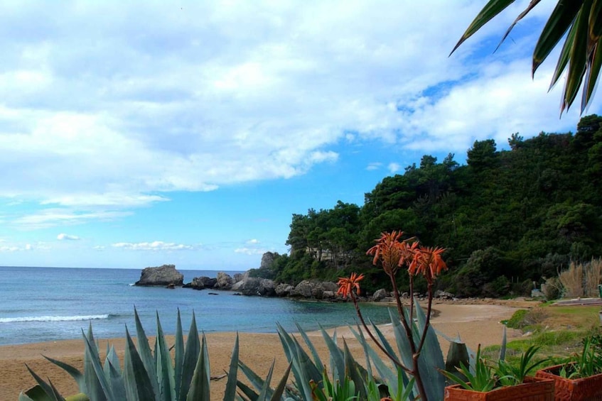 A beach with clear blue water, sandy shore, and green vegetation. 3