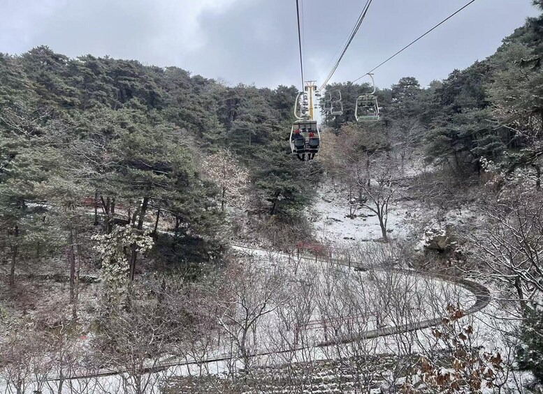 A cable car moving through a snowy forest. 4
