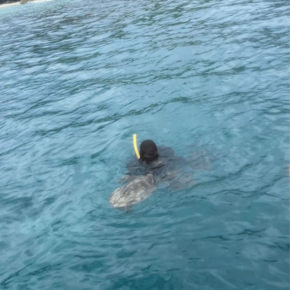 A person swimming in a body of water. 2