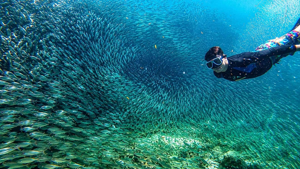 Picture 3 for Activity Moalboal: Pescador Island Hopping, Mantayupan Falls & ATV 4