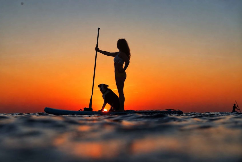 Picture 2 for Activity Barcelona Sunrise Paddle Board – Photos & Breakfast Included 5