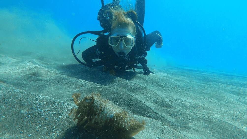 Picture 3 for Activity Tenerife: Scuba Diving Lesson and Abades Protected Area Dive 2
