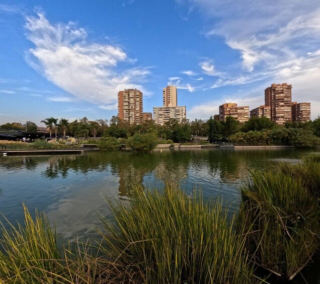 A calm lake with tall buildings in the background and lush greenery in the foreground. 2
