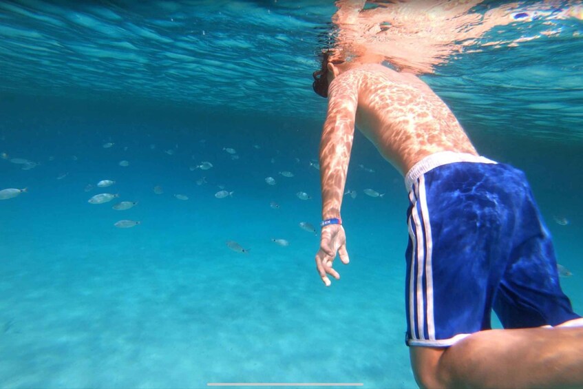 A person swimming underwater with a group of fish. 5