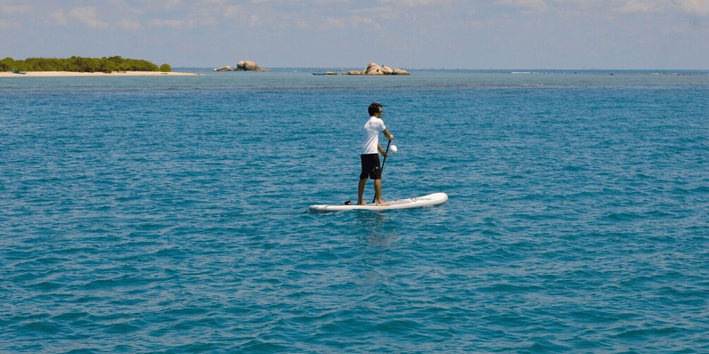 Exploring the Eastern Coast: A Week of Beaches and Reefs 1