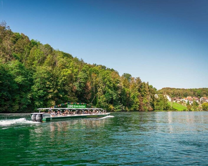 Picture 2 for Activity Neuhausen am Rheinfall: Rhine Falls Boat Tour 3