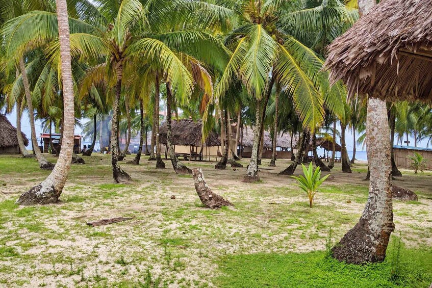 Picture 39 for Activity Overnight in San Blas - Private Room + Meals + Boat Tour 3