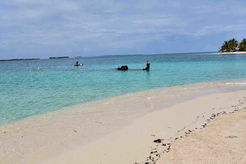 Picture 31 for Activity Overnight in San Blas - Private Room + Meals + Boat Tour 5