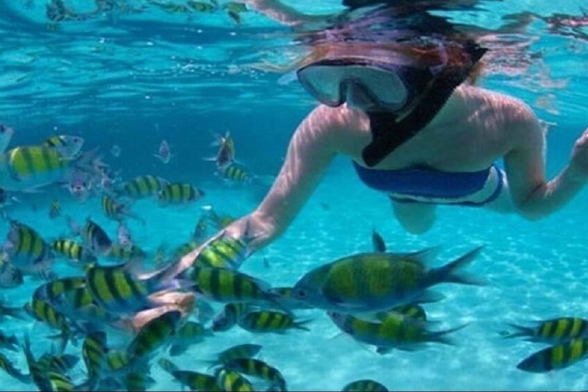 A person snorkeling underwater surrounded by fish. 1