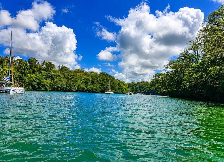A calm river with boats, lush green trees, and a clear blue sky. 5