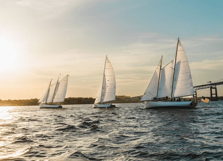 Three sailboats on a body of water with a bridge in the background. 2