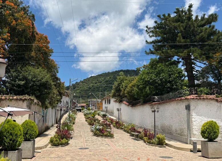 Picture 15 for Activity Ruta de Las Flores: Charming Towns and Rainbow Slide Tour 4