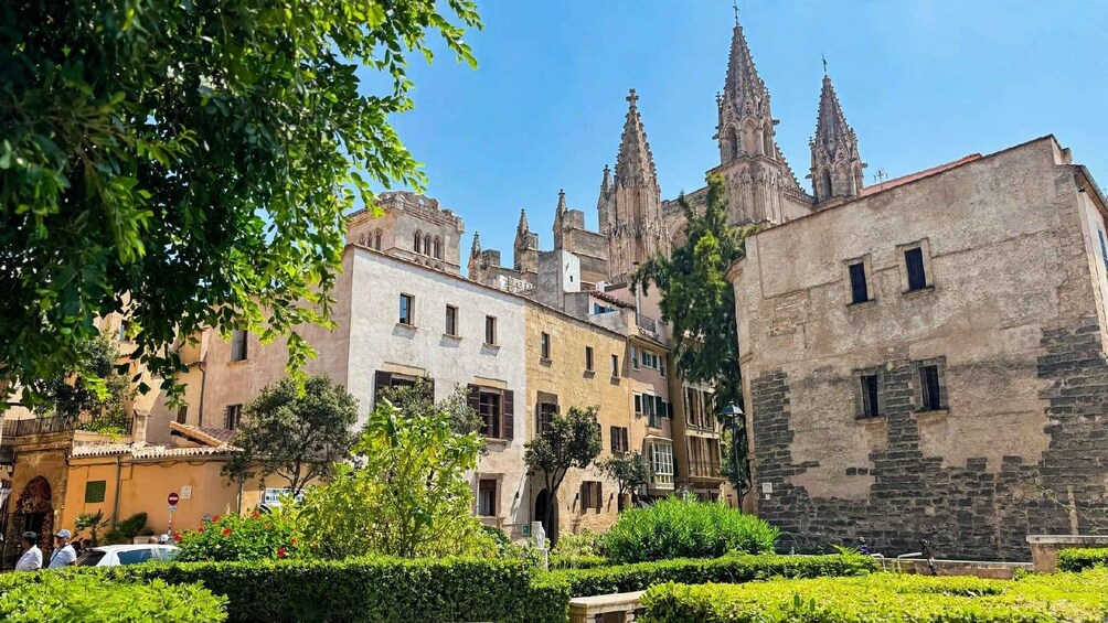 Picture 11 for Activity Palma: Old Town Walking Tour with Tapas, Pinchos and a Drink 5
