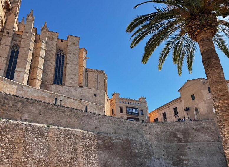 Picture 3 for Activity Palma: Old Town Walking Tour with Tapas, Pinchos and a Drink 2