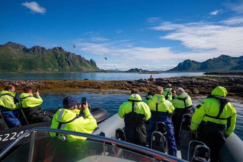 Picture 6 for Activity Trollfjorden & Sea Eagle By Premium RIB Boat 4