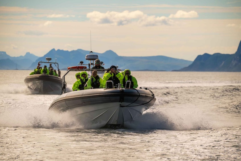 Trollfjorden & Sea Eagle By Premium RIB Boat 1