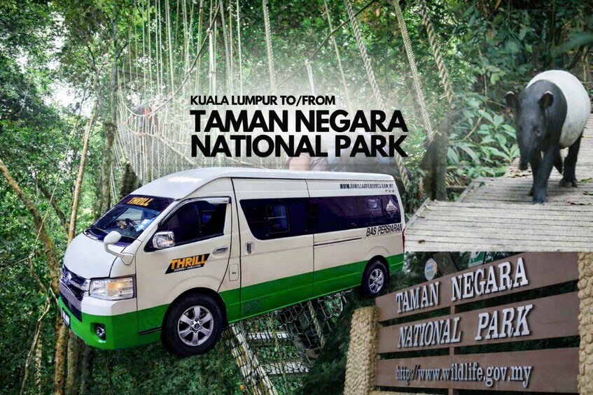 A van with 'THRILL' and 'BAS PERSIHAN' on it, parked near a rope bridge in a forested area with a sign for 'TAMAN NEGARA NATIONAL PARK'. 1