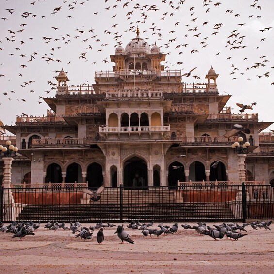 A historic building with multiple domes and arches, surrounded by a large number of pigeons. 4