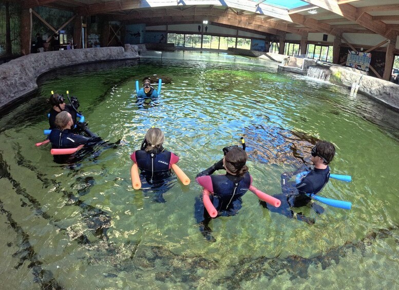 Picture 1 for Activity Anna Bay: Irukandji Entry with Zebra Shark Snorkel 2
