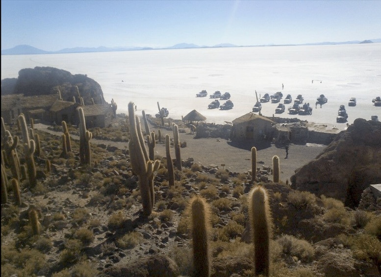 Picture 3 for Activity Salt Flat Uyuni from Uyuni 2