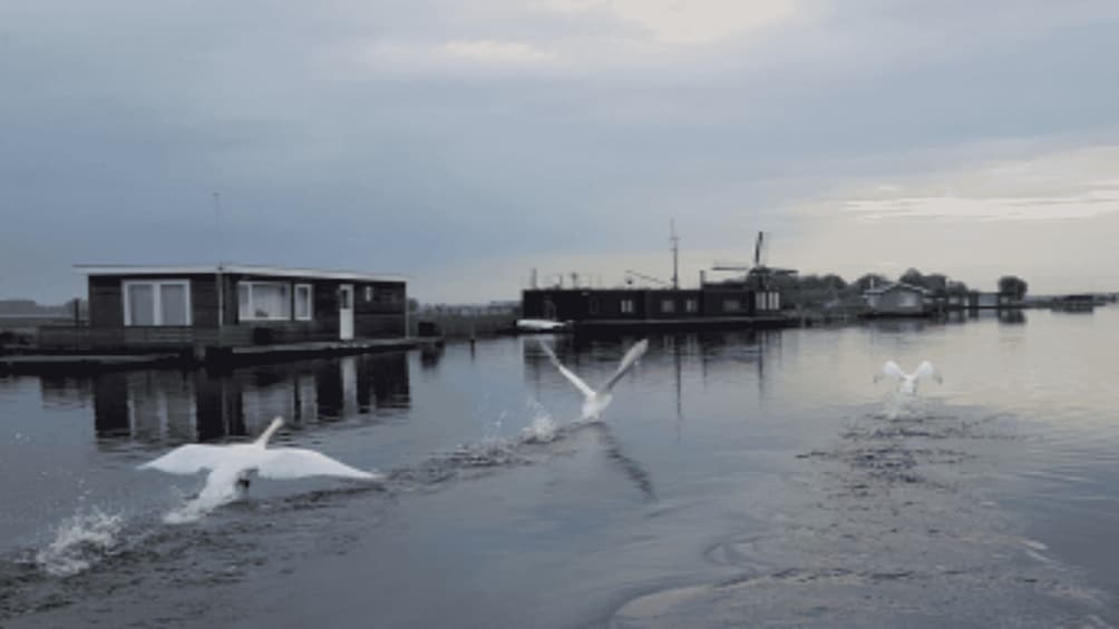 A calm river with a houseboat and a dock. 3