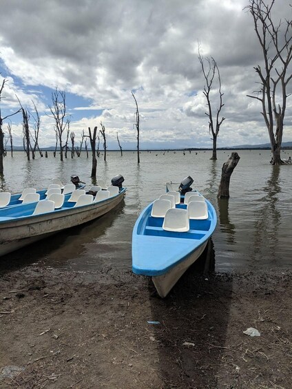 Picture 46 for Activity Nairobi: Group joining trip to Hell's Gate & Lake Naivasha 2