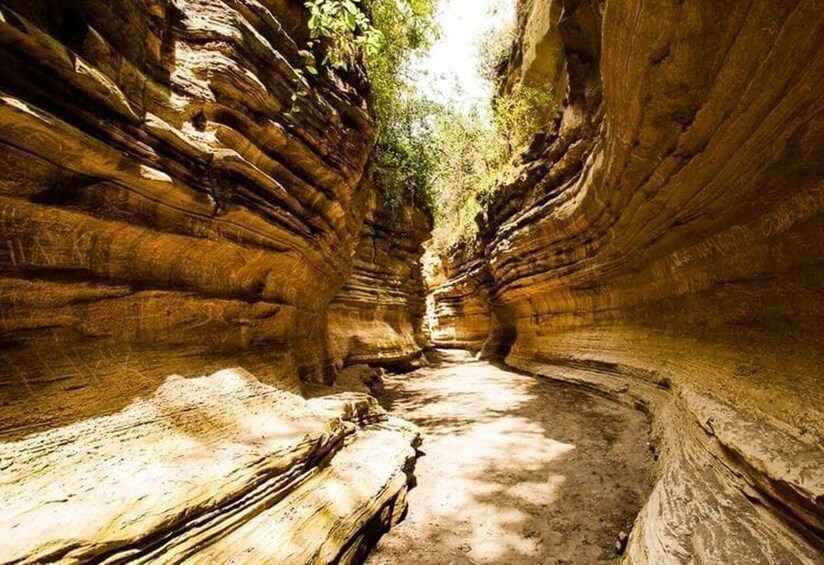 A narrow canyon with layered rock formations and a dirt path. 1