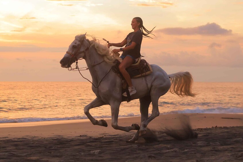 Picture 12 for Activity Sayulita: Horseback Riding Tour 2