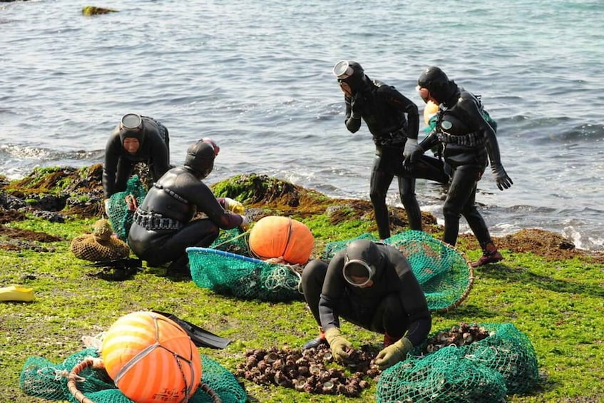 Picture 10 for Activity Jeju: Eastern UNESCO Sites Tour with Haenyeo show 3