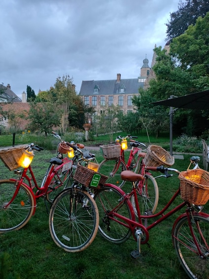 Picture 31 for Activity Bruges Guided Retro Biketour: Highlights, Hidden Gems &Drink 2