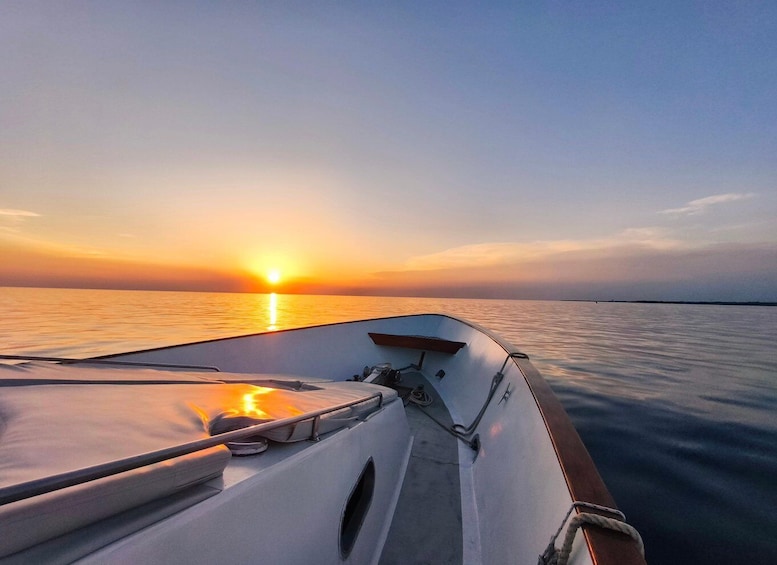 Picture 3 for Activity Umag: Sunset Cruise with Dolphin Spotting 3