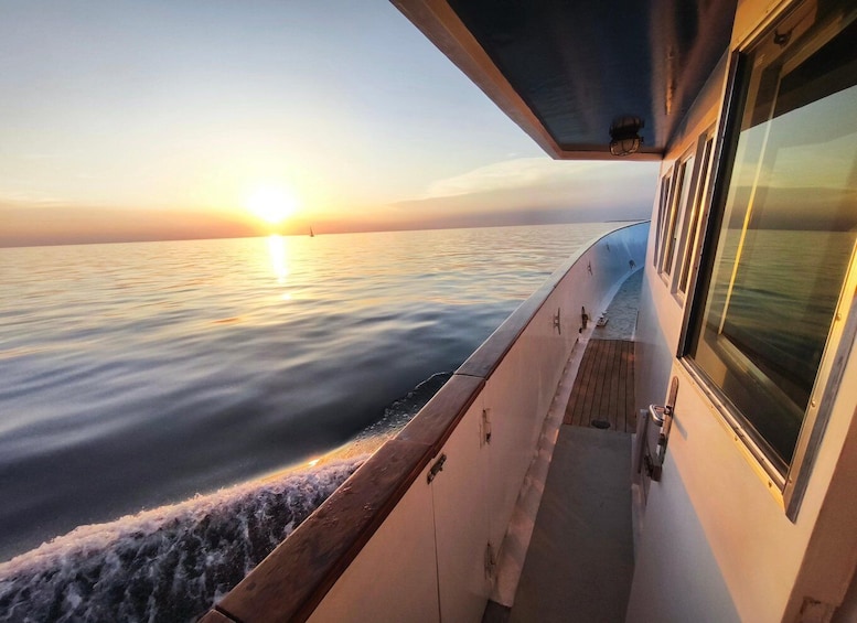 Picture 5 for Activity Umag: Sunset Cruise with Dolphin Spotting 2
