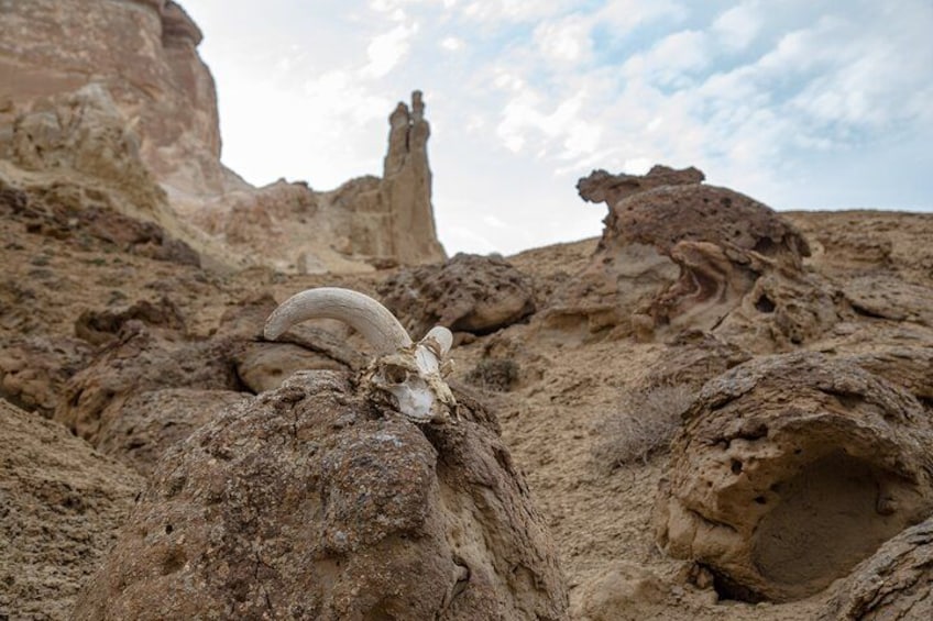 A desert landscape with a prominent rock formation and a large horned skull. 4