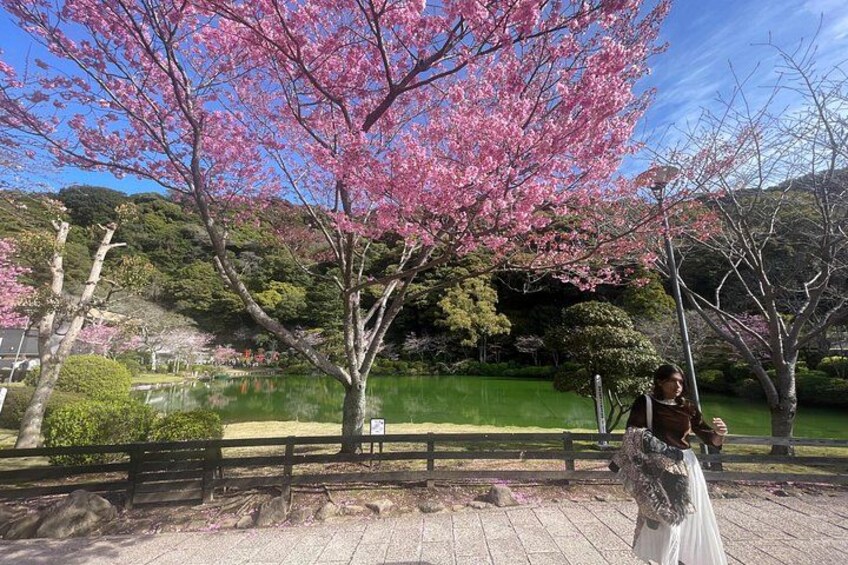 Hot Spring Beppu Onsen with Blue Hell cozy Tour by Car and walk 4