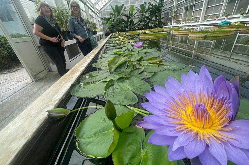 lotus green house^^ 2