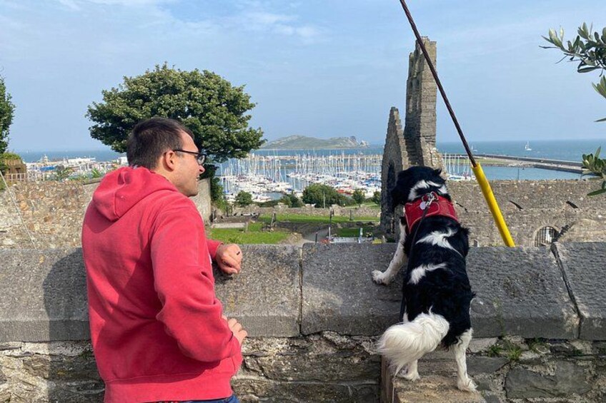A person in a red hoodie fishing with a dog by a stone wall overlooking a marina. 4